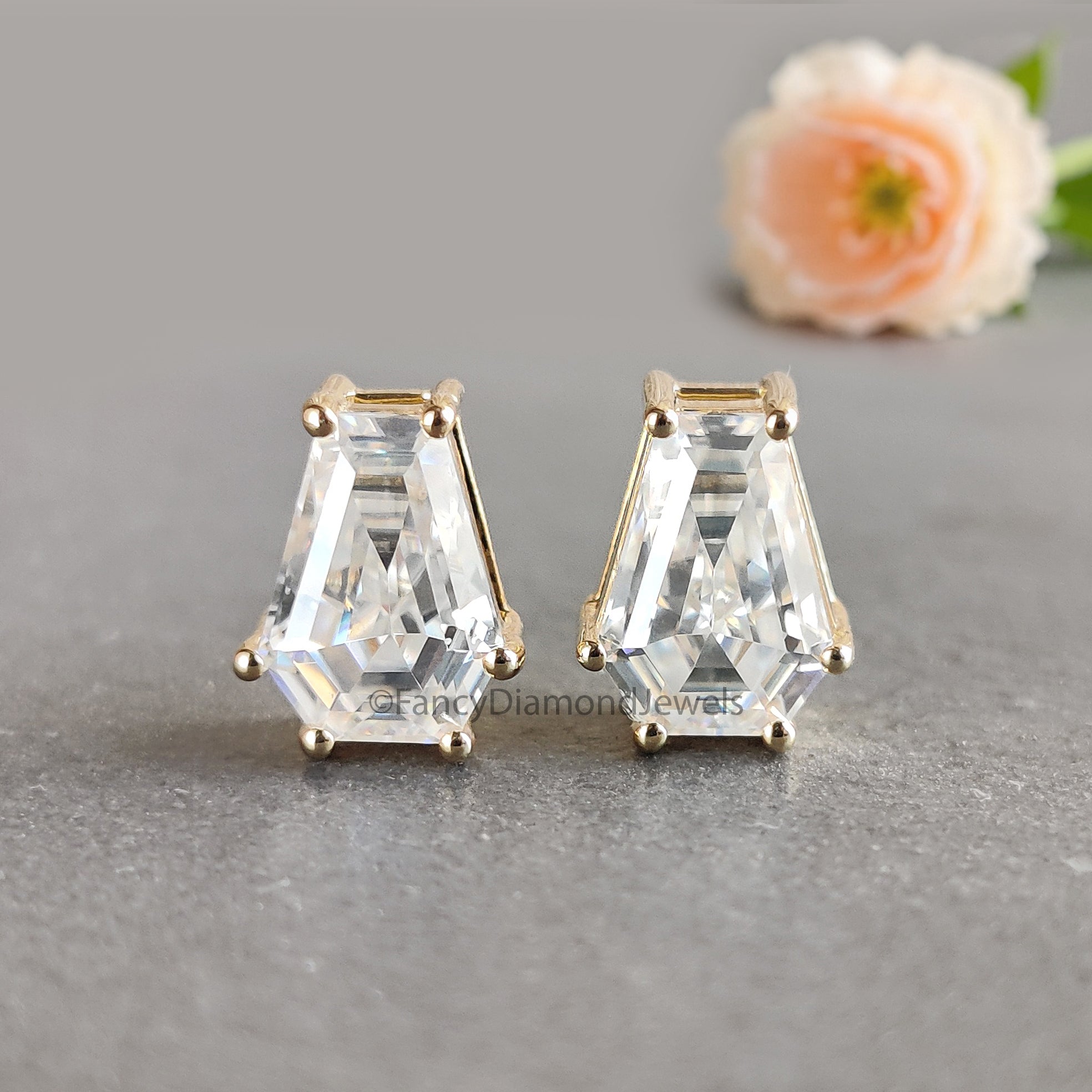 Coffin Cut Moissanite Earrings, Coffin Diamond Earrings, Coffin Diamond Stud Earrings, Moissanite Screw Back Earrings, Gift for Her FD59
