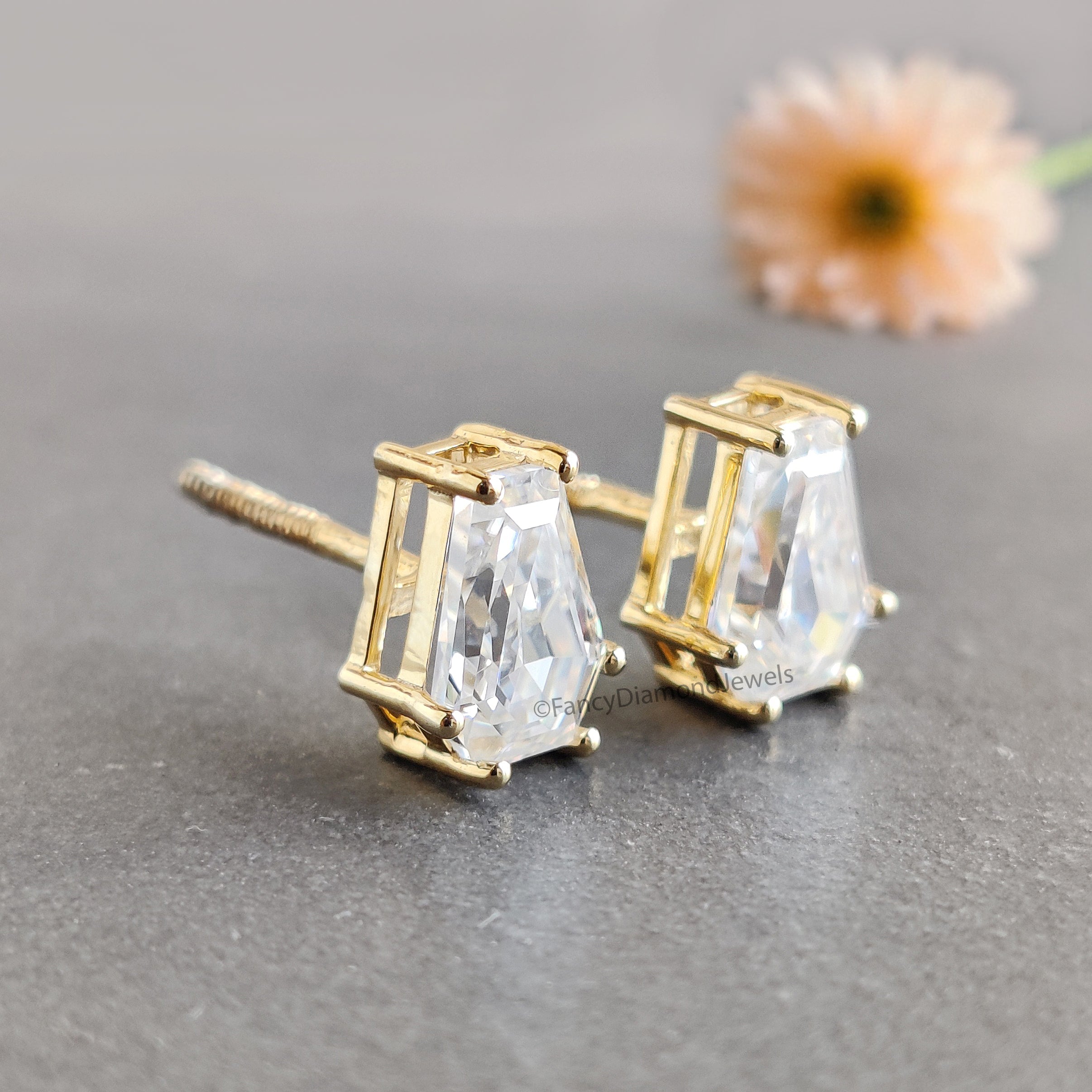 Coffin Cut Moissanite Earrings, Coffin Diamond Earrings, Coffin Diamond Stud Earrings, Moissanite Screw Back Earrings, Gift for Her FD59