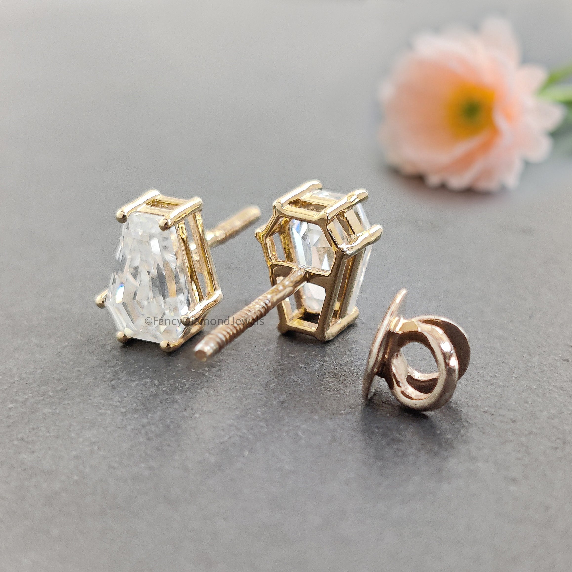Coffin Cut Moissanite Earrings, Coffin Diamond Earrings, Coffin Diamond Stud Earrings, Moissanite Screw Back Earrings, Gift for Her FD59