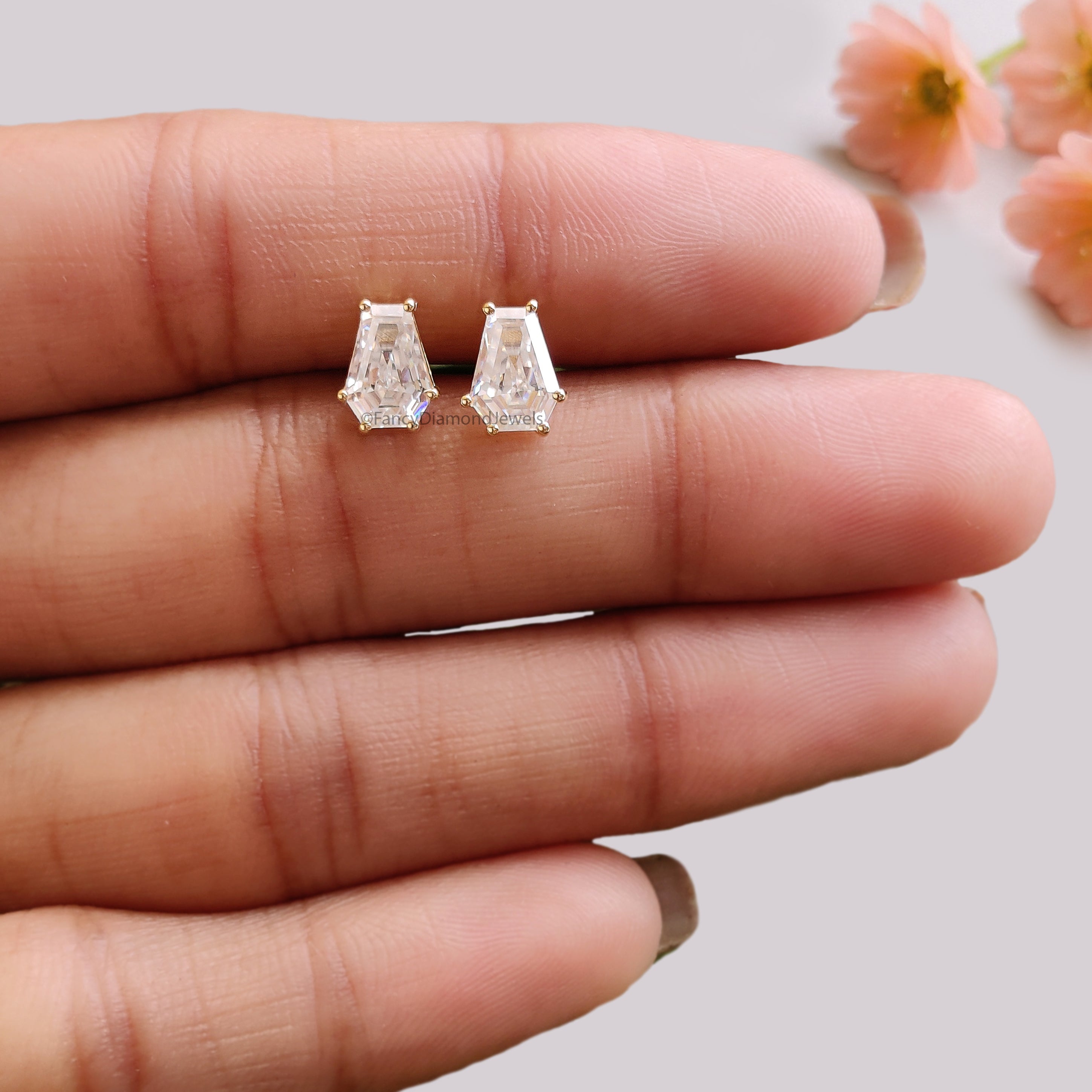 Coffin Cut Moissanite Earrings, Coffin Diamond Earrings, Coffin Diamond Stud Earrings, Moissanite Screw Back Earrings, Gift for Her FD59