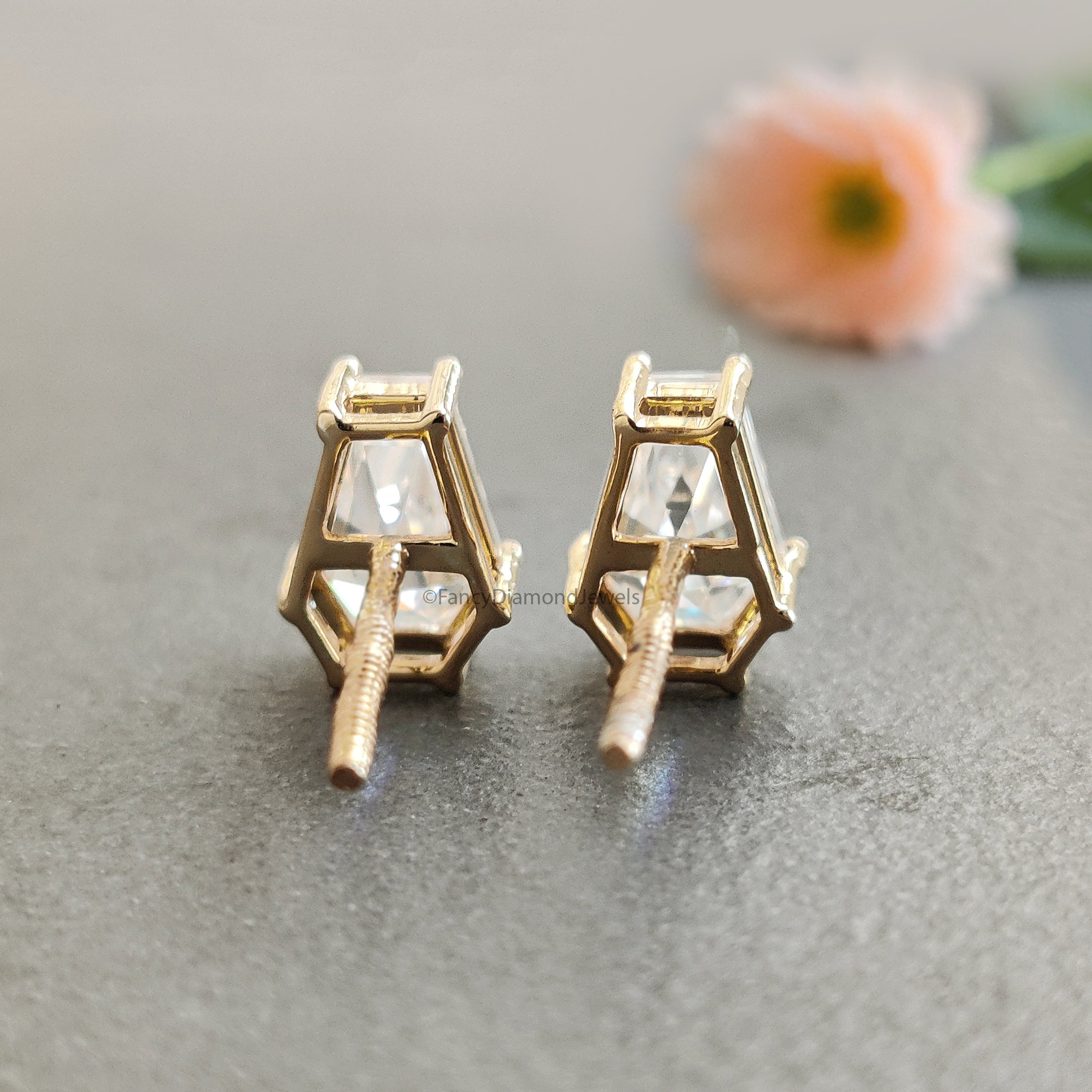 Coffin Cut Moissanite Earrings, Coffin Diamond Earrings, Coffin Diamond Stud Earrings, Moissanite Screw Back Earrings, Gift for Her FD59